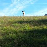 les champs au dessus